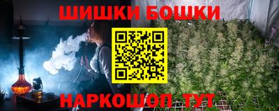 бошки Славгород